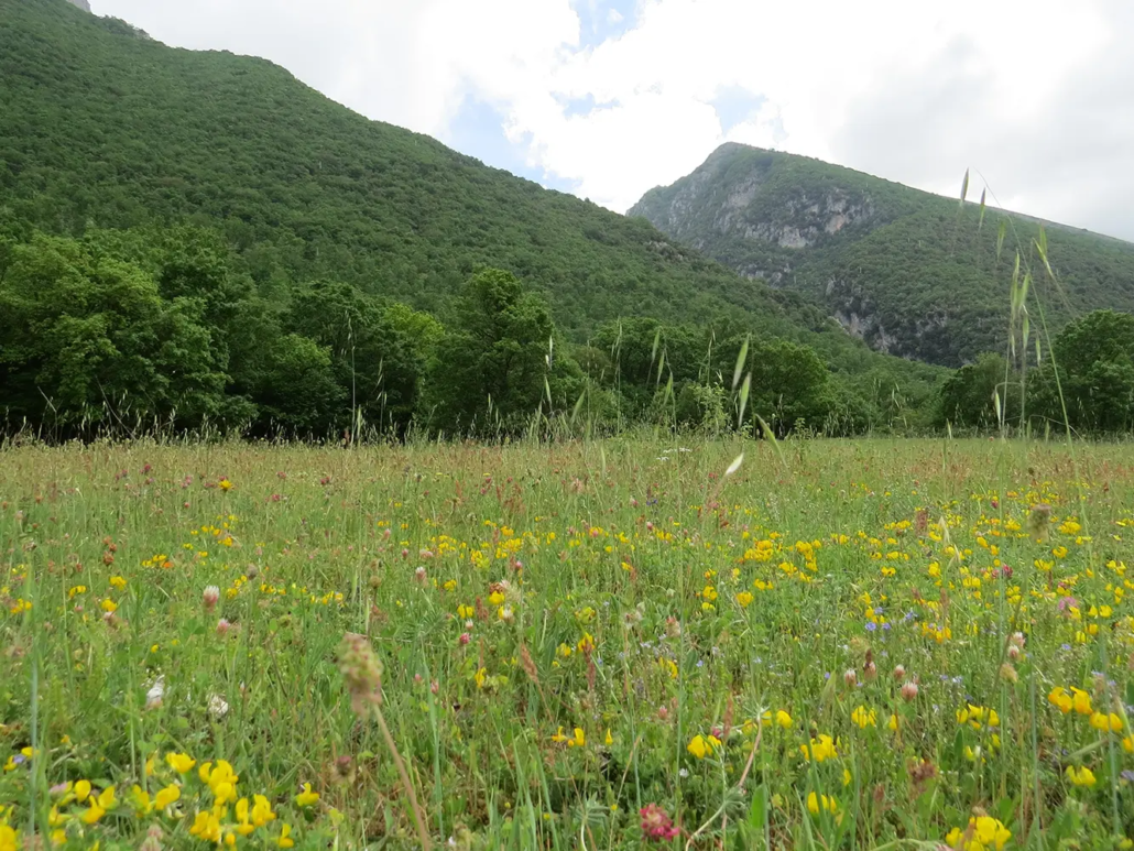 Conservazione della natura